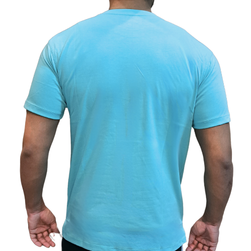 Ralph Lauren Cotton T-Shirt (12 colours)