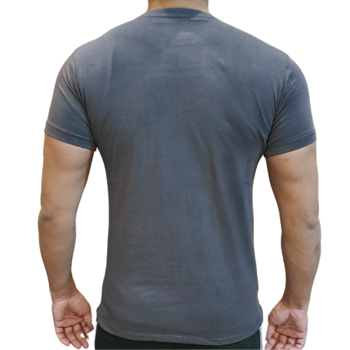 Ralph Lauren Cotton T-Shirt (12 colours)