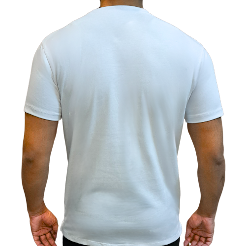 Ralph Lauren Cotton T-Shirt (12 colours)
