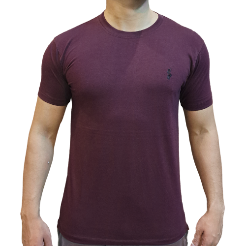 Ralph Lauren Cotton T-Shirt (12 colours)
