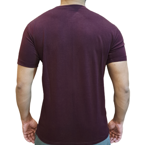Ralph Lauren Cotton T-Shirt (12 colours)